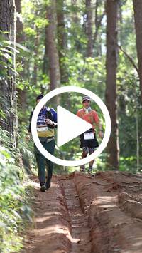 BIB:  <button type="button" onclick="openModal(26569569)" class="btn btn-primary btn-sm float-right" data-toggle="modal" data-target=".modal-high-quality">
                <i class="fa fa-download"></i> Download
                </button>